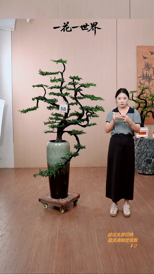 无花朵申****号58号链接