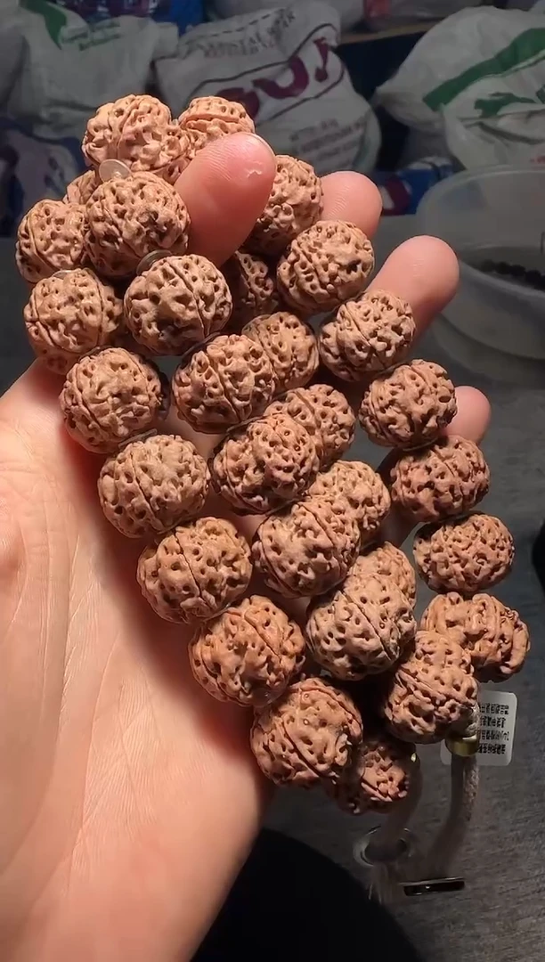 手串金刚菩提毕业级龙纹饕餮-19mm
