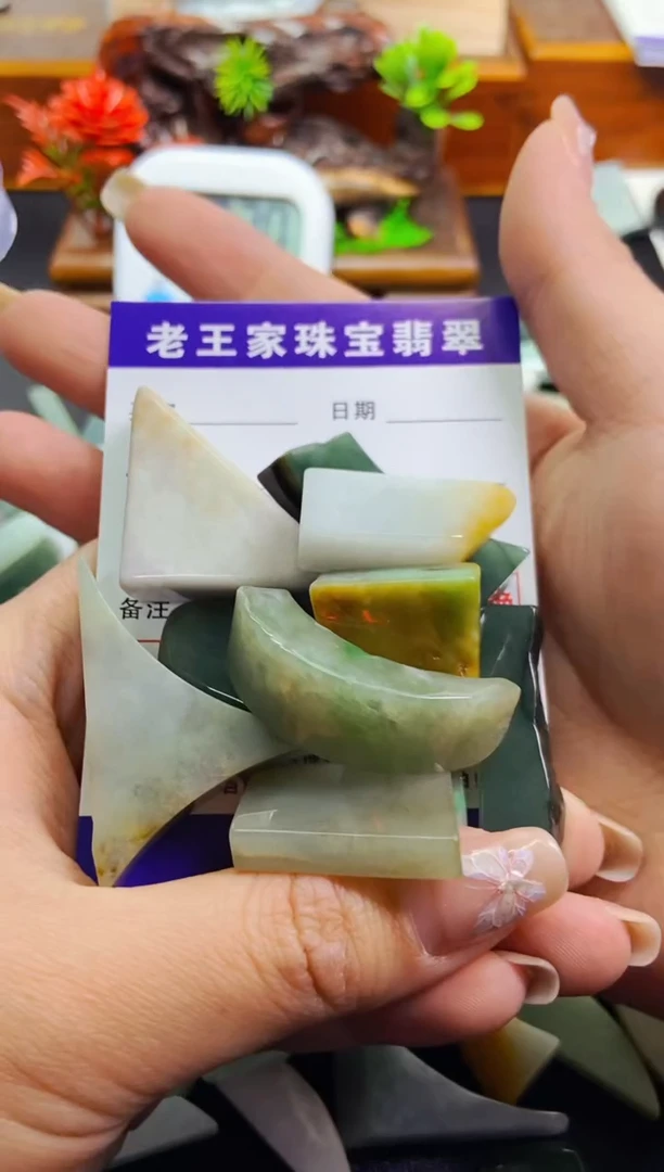 【闪购商品】翡翠颈饰未镶嵌料子