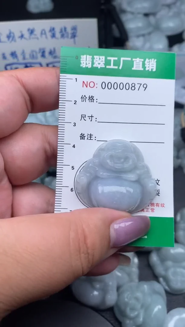 翡翠未镶嵌颈饰缅甸天然A货翡翠0879