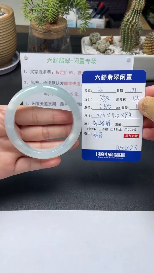 【闪购商品】翡翠手镯未镶嵌D2500213