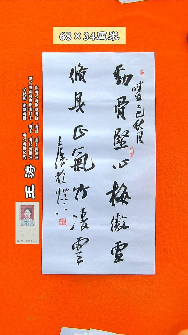 书法139R王涛书法作品