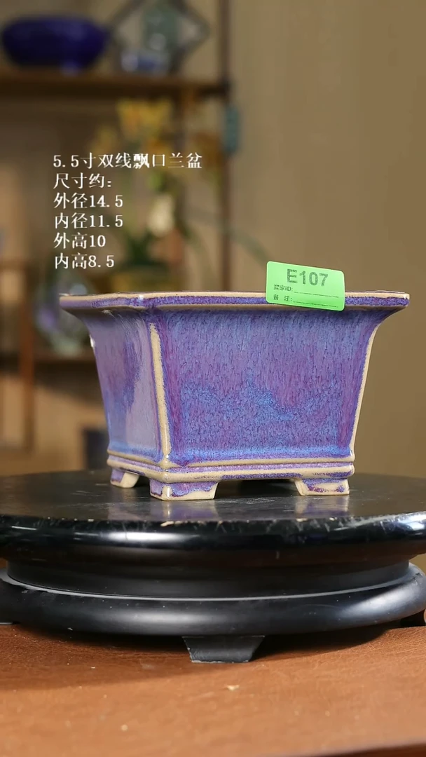 5.5寸双线飘口兰盆 107