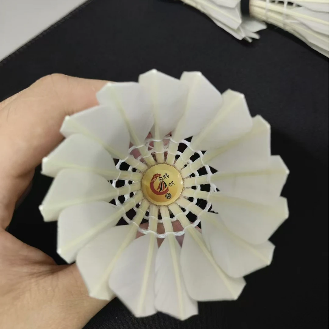 聆羽六号球平替亚七耐打飞行同时具备性价比高中小方毛片聆羽羽球