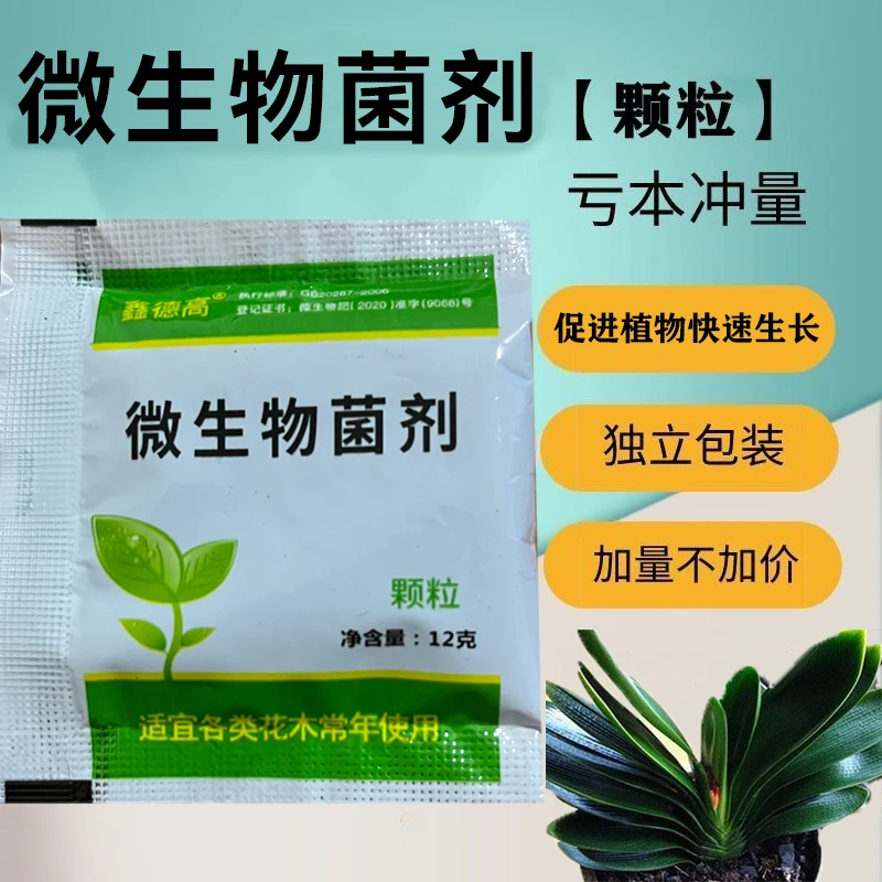 【赠品】君子兰专用肥料促花肥