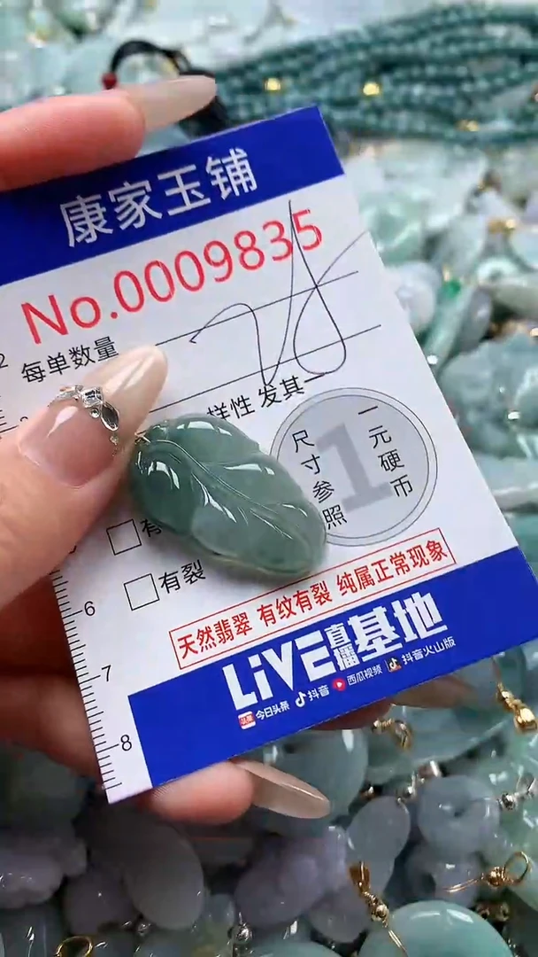 翡翠未镶嵌吊坠(不含链)9835