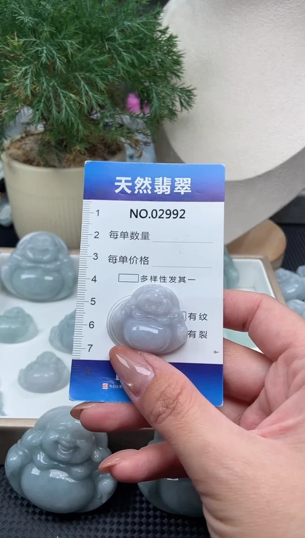 颈饰未镶嵌翡翠纯天然A货翡翠2992