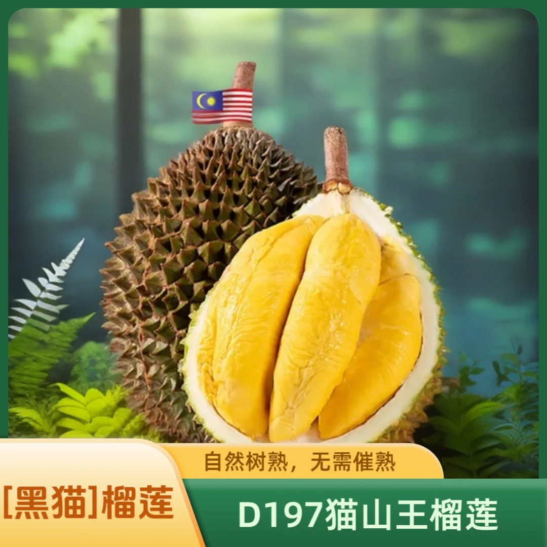 【黑猫】精选猫山王榴莲【5房】AA级（少一房赔一房）高山树熟当季新果