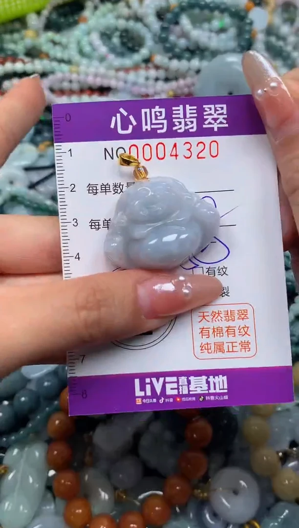 颈饰未镶嵌翡翠闪购004220