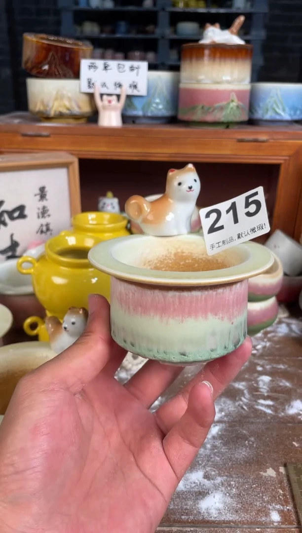 瓷片215知木小芳花盆直播编号