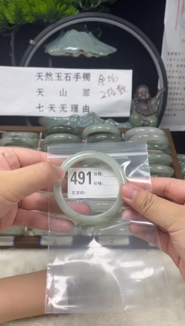 未镶嵌手镯石英质玉（天山翠）491