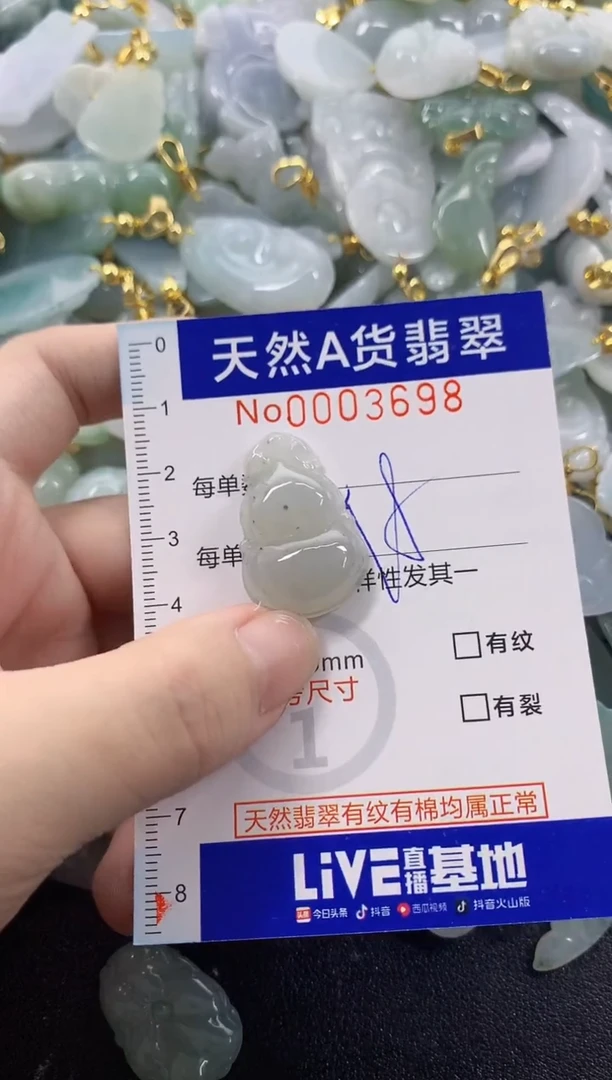 颈饰未镶嵌翡翠天然A货翡翠