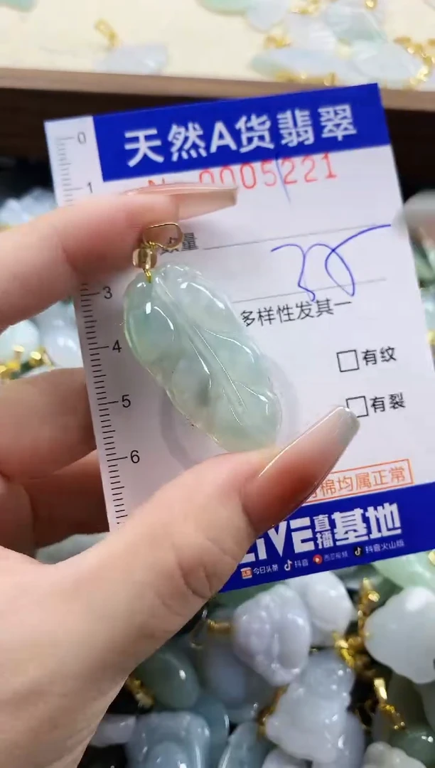 颈饰未镶嵌翡翠天然A货翡翠