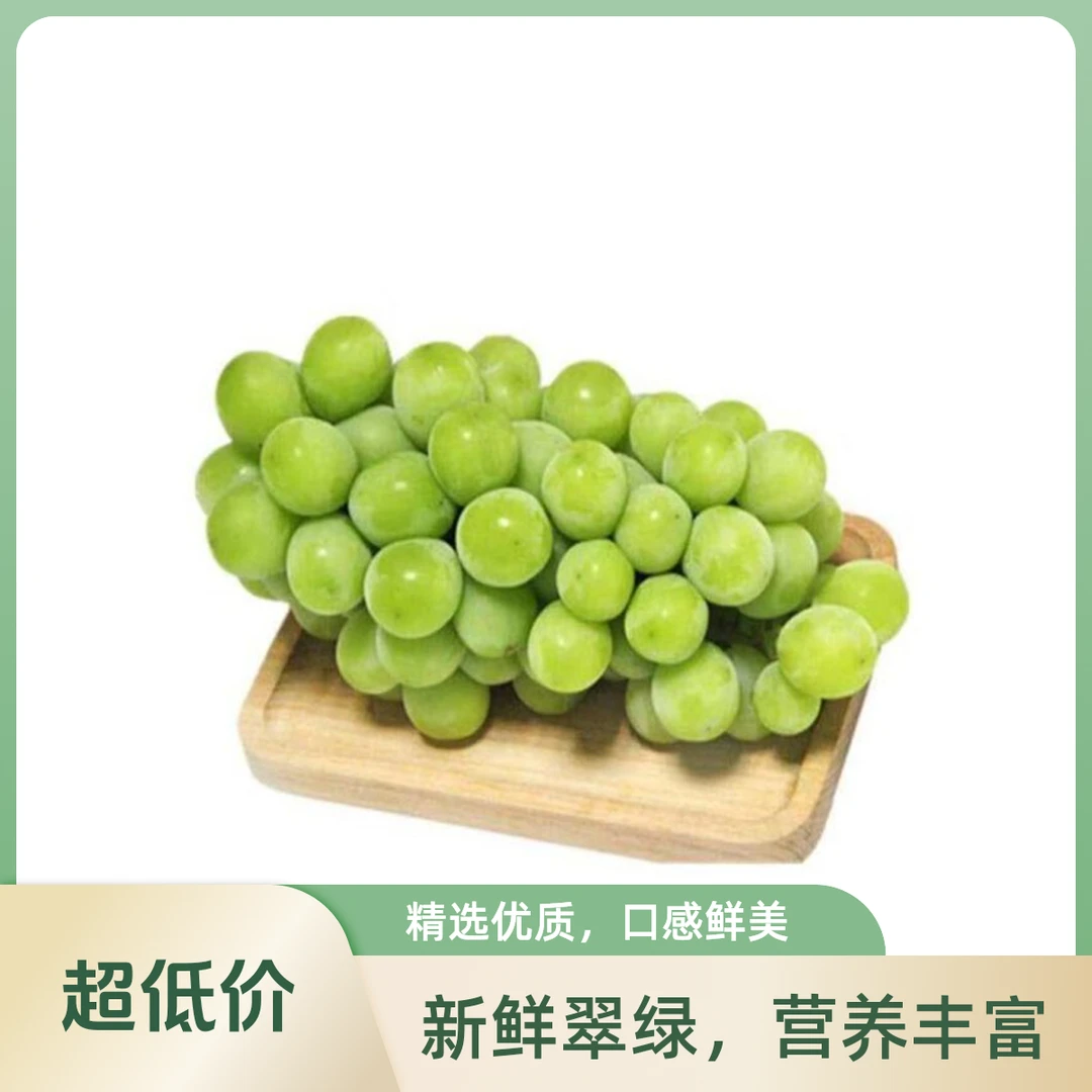 【今日特惠】阳光玫瑰 3斤