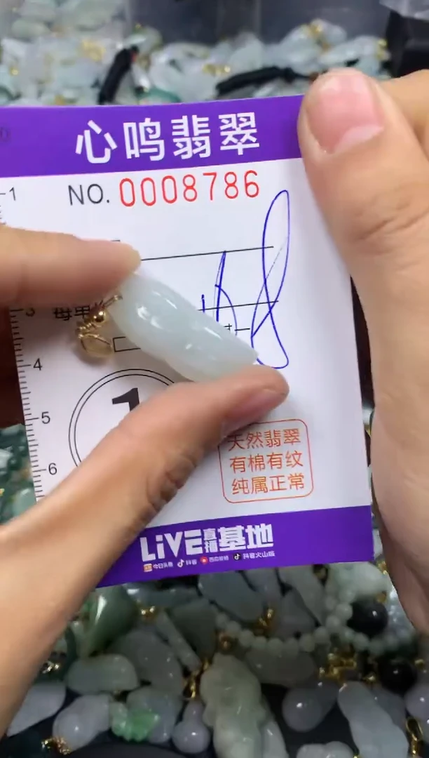 【闪购商品】翡翠颈饰未镶嵌闪购008786