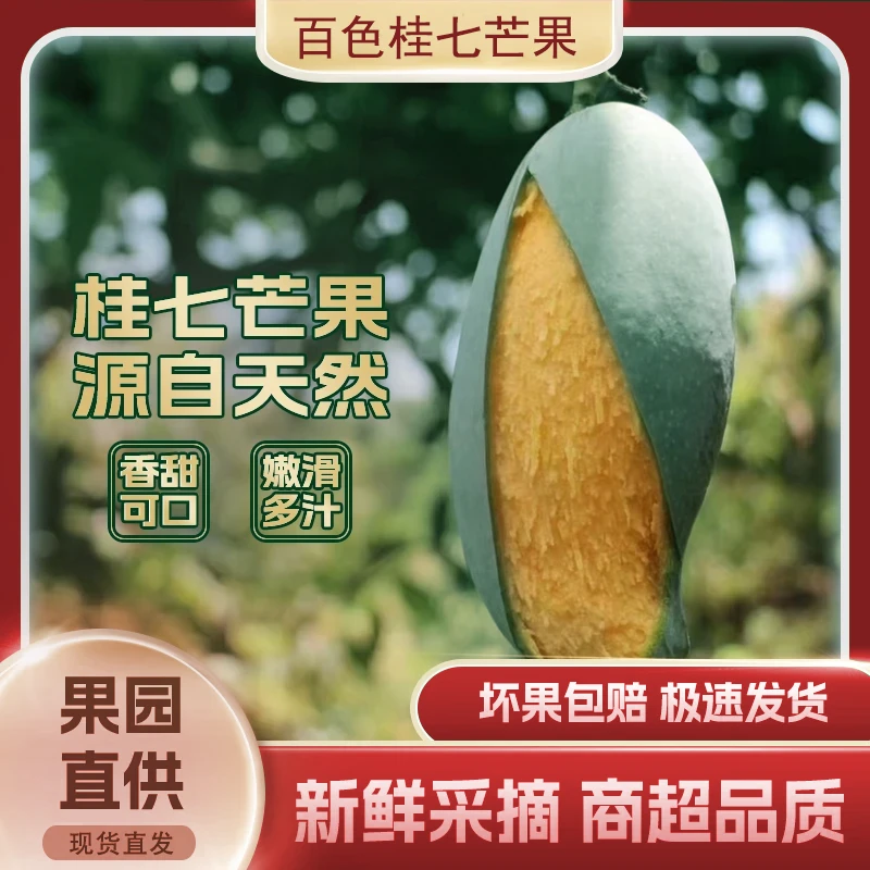 【正宗】广西百色桂七芒果当季新鲜水果产地直发新鲜摘包邮
