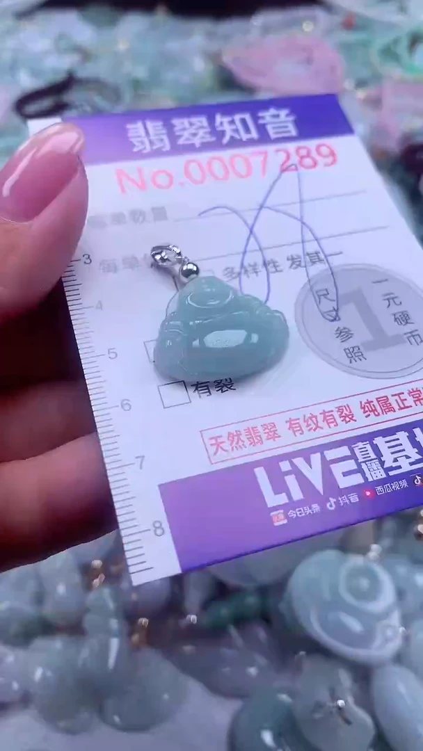 颈饰未镶嵌翡翠7289