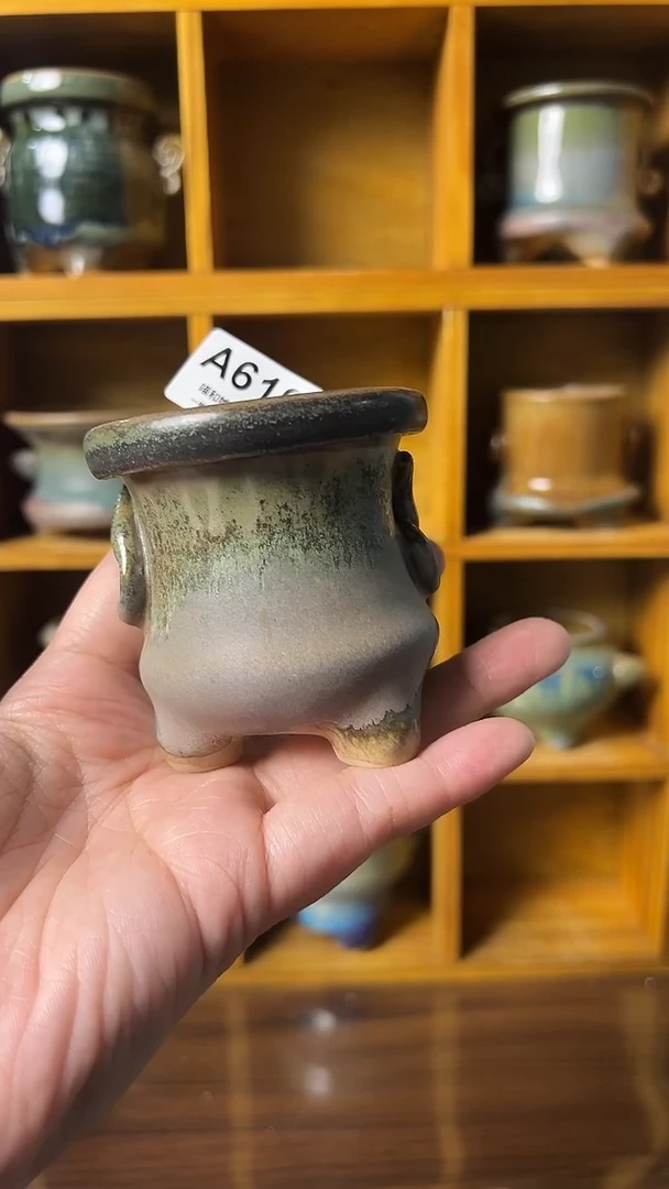 619 内口5【多肉花盆多肉盆】