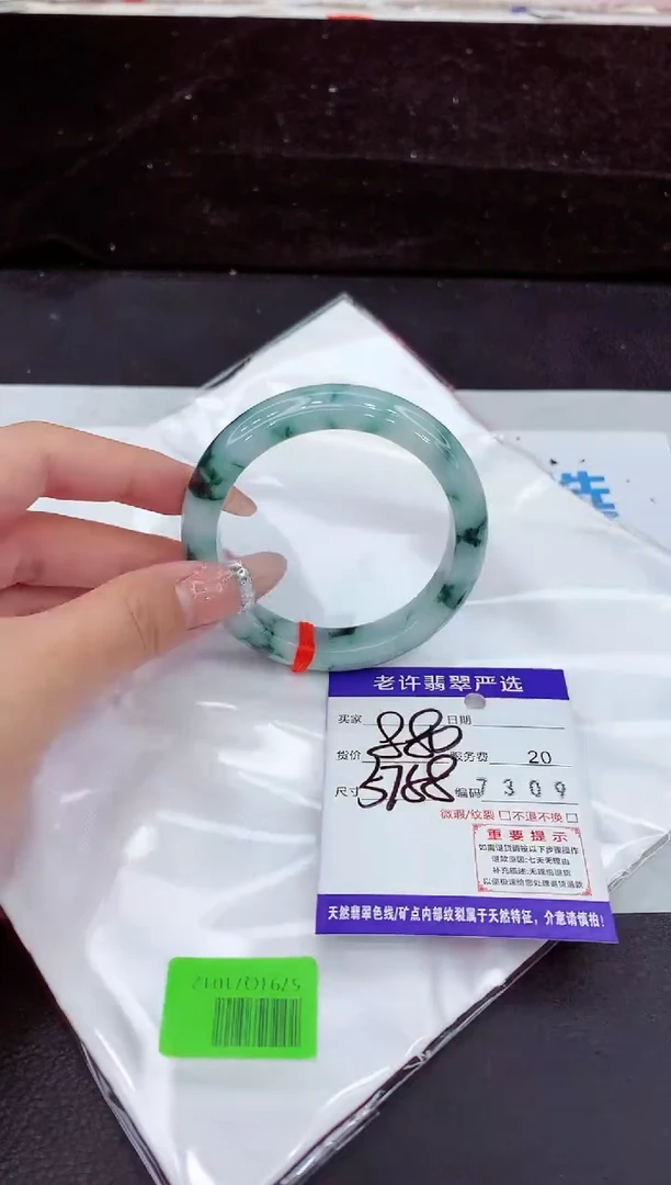 未镶嵌手镯翡翠1