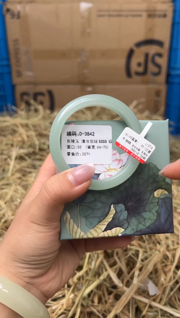未镶嵌手镯石英质玉D-3842