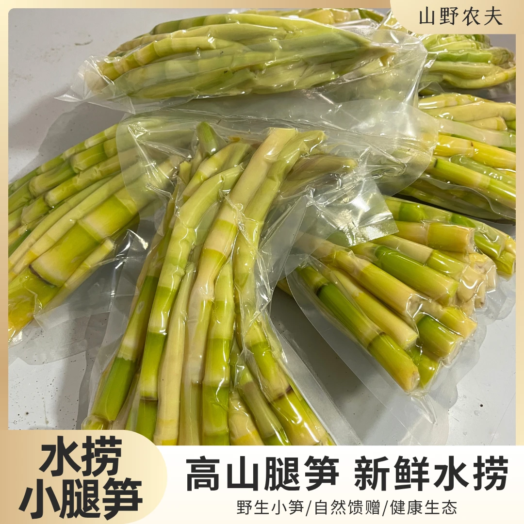 山野农夫野生小笋水捞鲜笋小腿笋原始竹林新鲜采摘水捞小竹笋腿笋