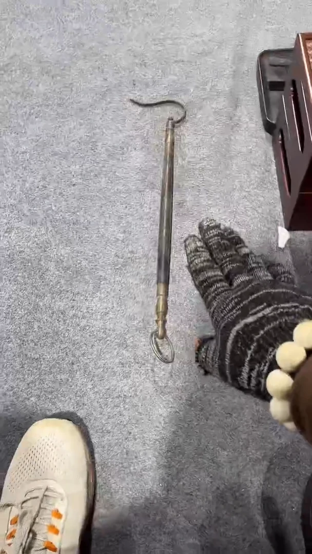 木简约淘木舍直播链接