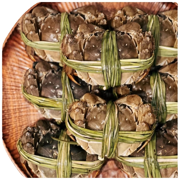 【公母搭配】五河精品大闸蟹公3两母2两5对10只装死蟹包赔海鲜