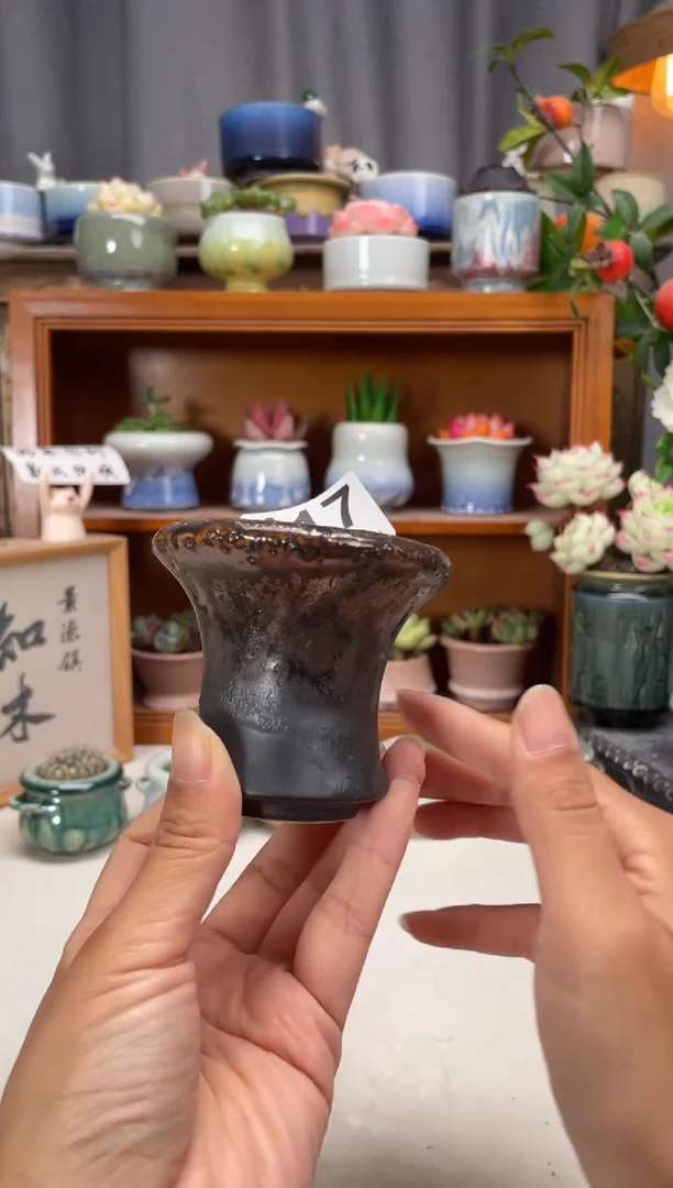 瓷片417知木小芳花盆