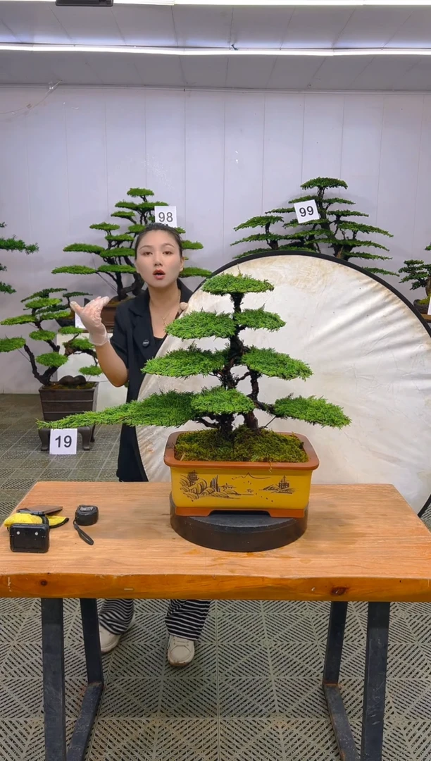 无花朵一物一拍一物一拍