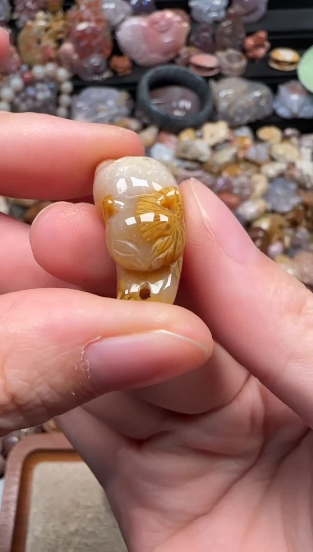 颈饰未镶嵌硅化珊瑚（珊瑚玉）650