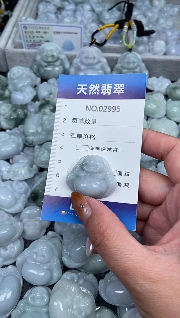 颈饰未镶嵌翡翠纯天然A货翡翠2995