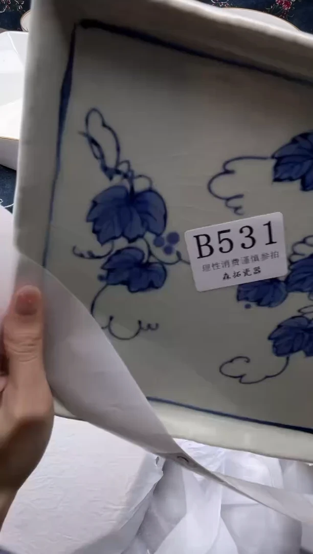瓷片          B531
