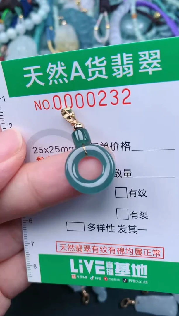 翡翠未镶嵌颈饰.0000232