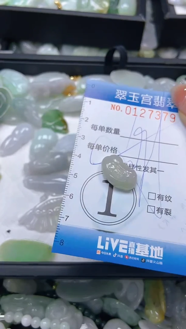 翡翠未镶嵌颈饰闪购0127379