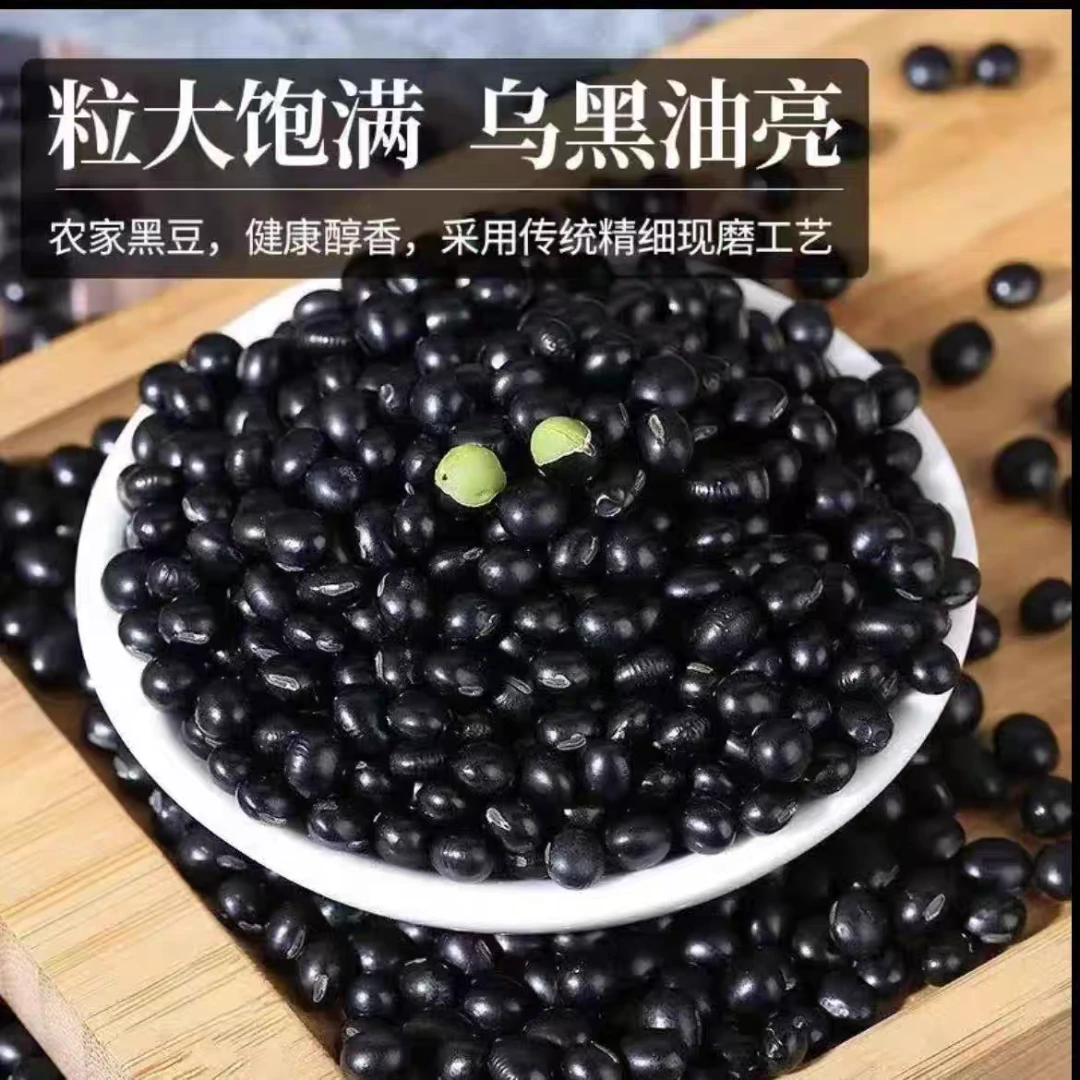 东北新货生杂粮黑豆浆煮水打豆浆专用黑豆100%纯黑豆