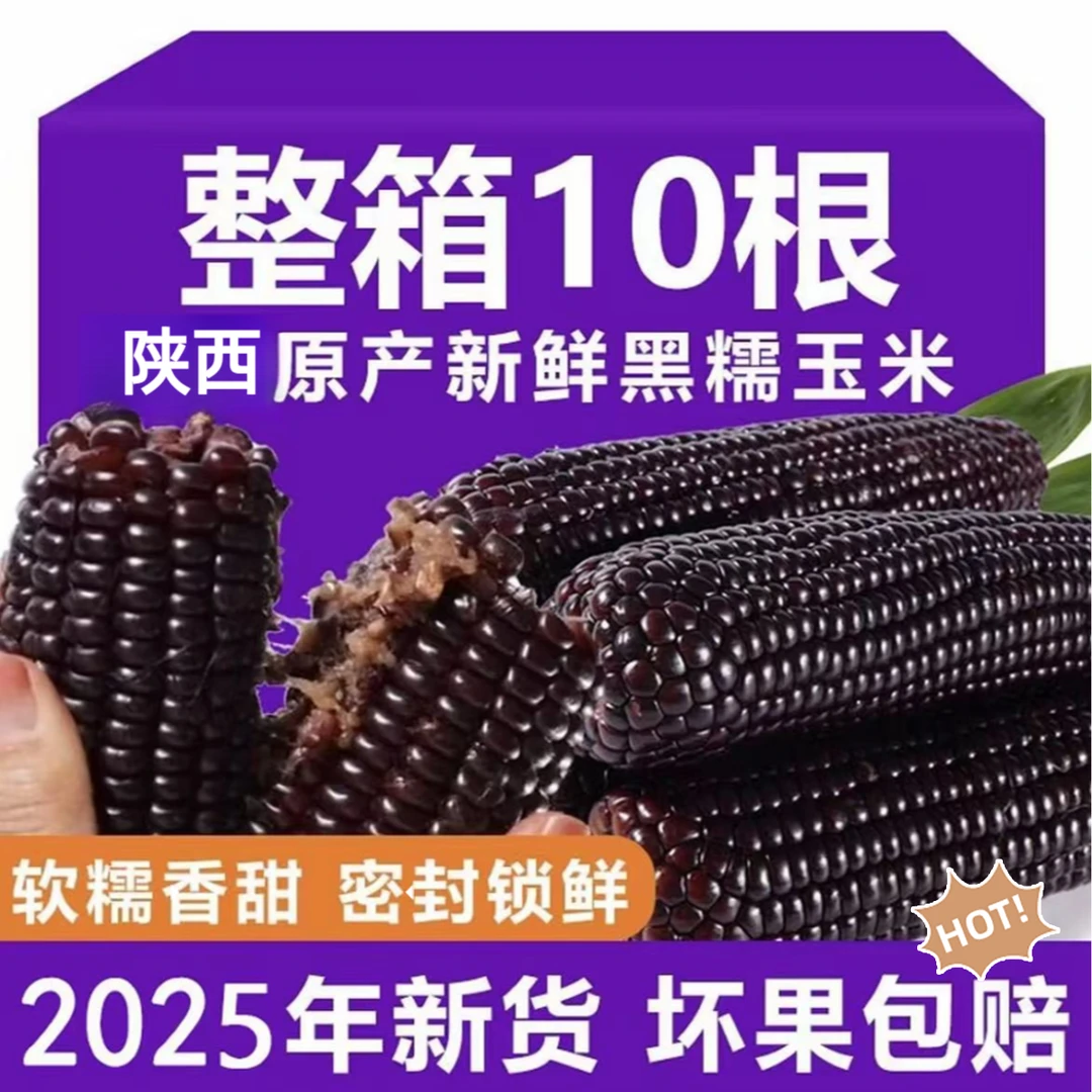 【试吃两根】25年头茬黑玉米真空装新鲜富含花青素到手整箱10根