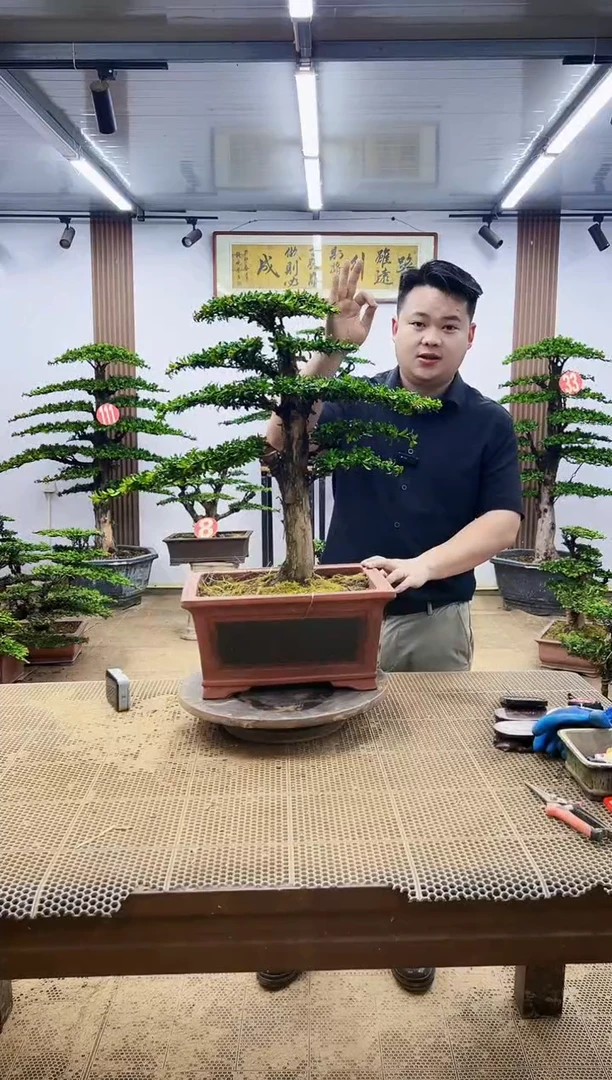 无花朵一物一拍，所见即所得