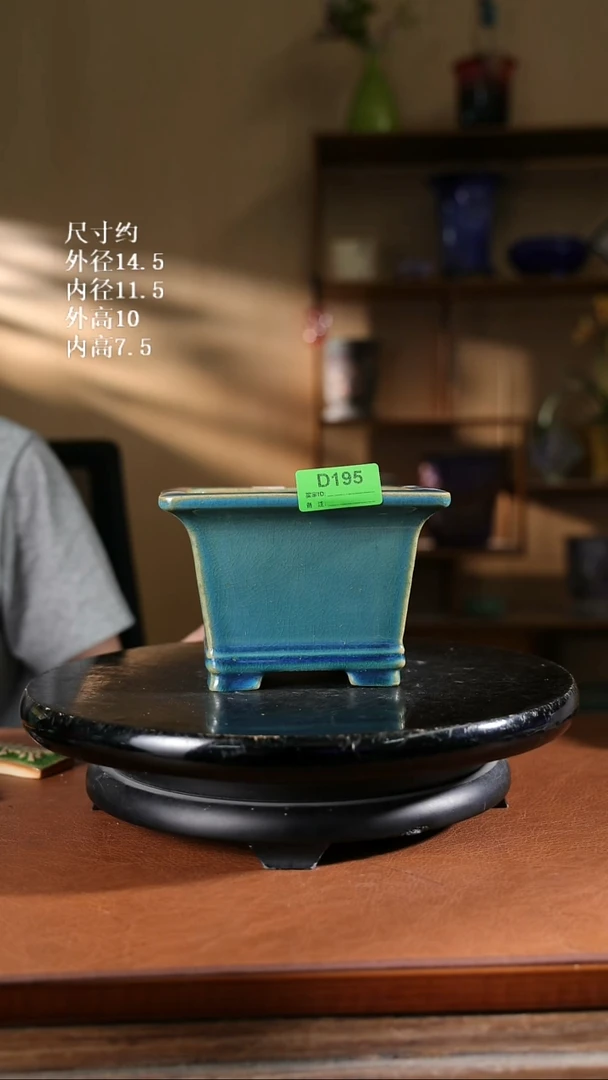 195   5.5寸双线飘口兰盆