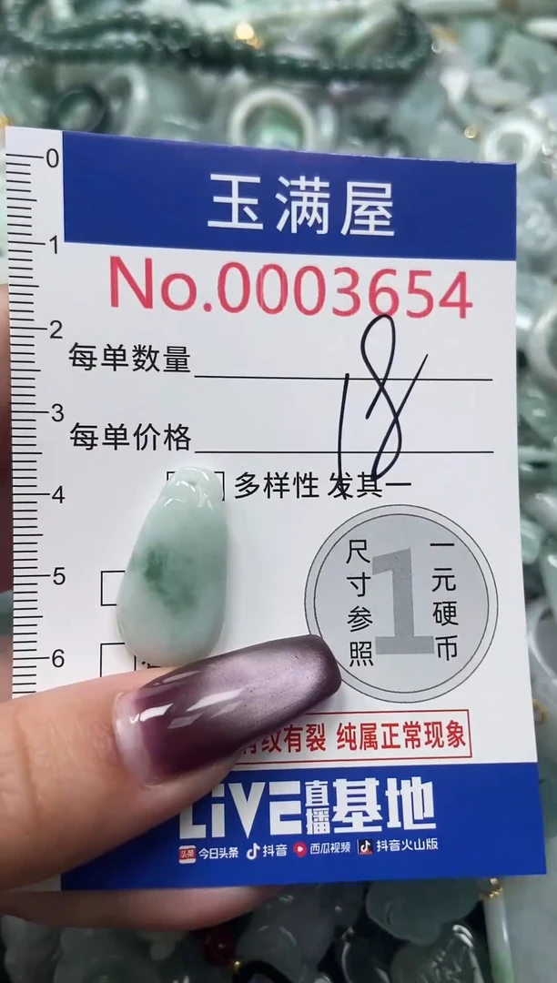 颈饰未镶嵌翡翠3654