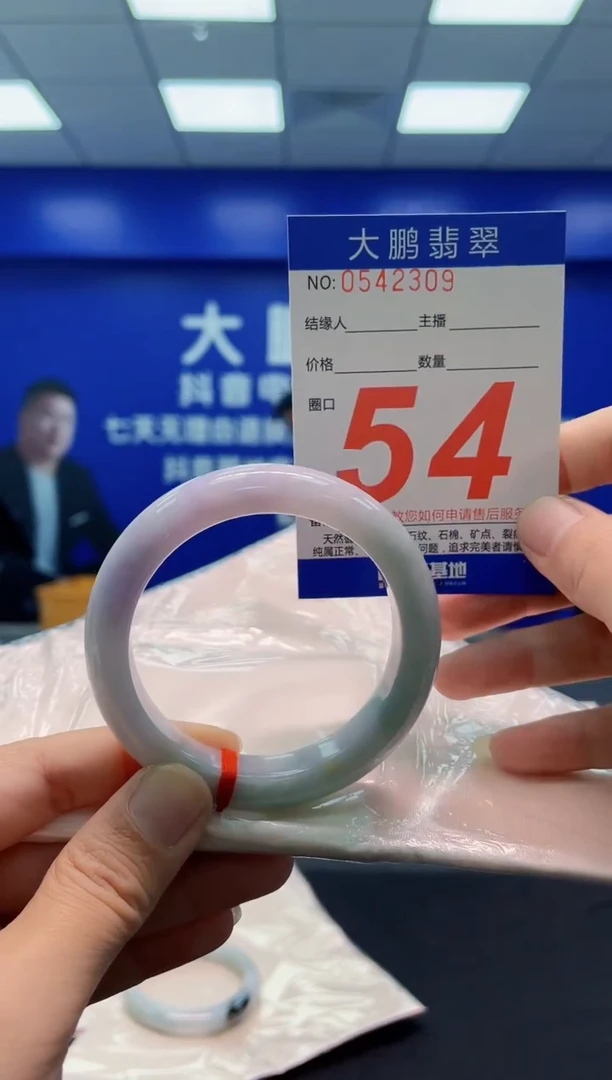 未镶嵌手镯翡翠 AAAAAAAAA
