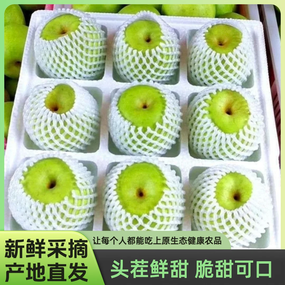 正宗青皮皇冠梨清甜爽口翠冠酥脆一号坏果包赔新鲜现摘脆甜皮薄