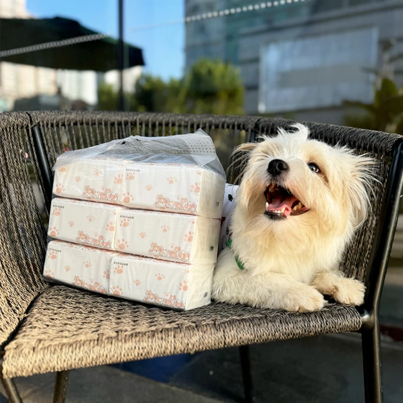 【基地】原创善待主题流浪猫狗5层加厚原生木浆抽纸