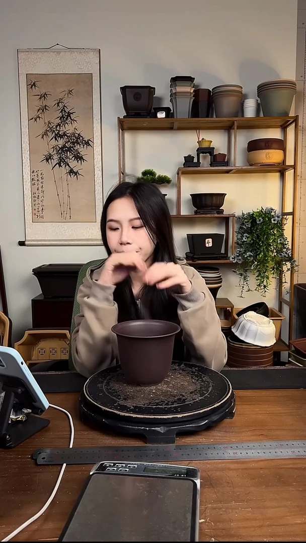 10只15口径金钟紫檀色