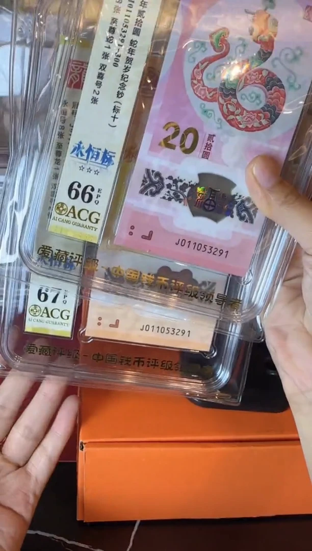 塑料2024 龙蛇全同号标十  如图