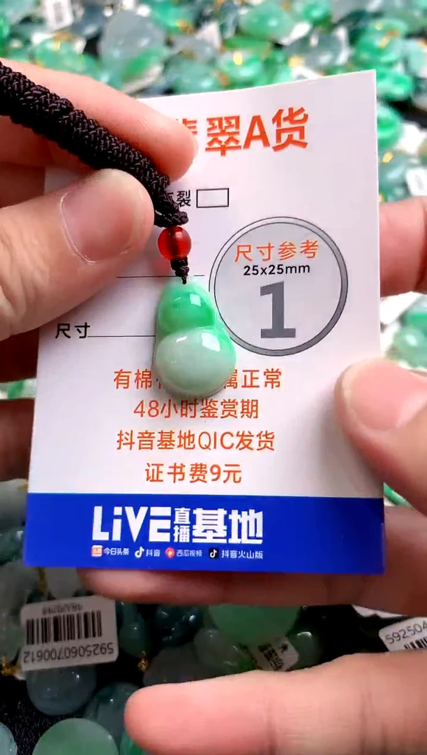 颈饰未镶嵌翡翠0130615743