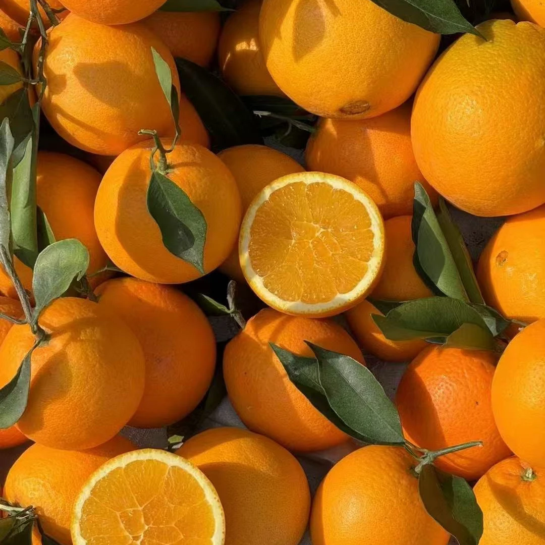 四川大凉山正宗雷波脐橙新鲜橙子超甜当季水果薄皮无核非赣南脐橙
