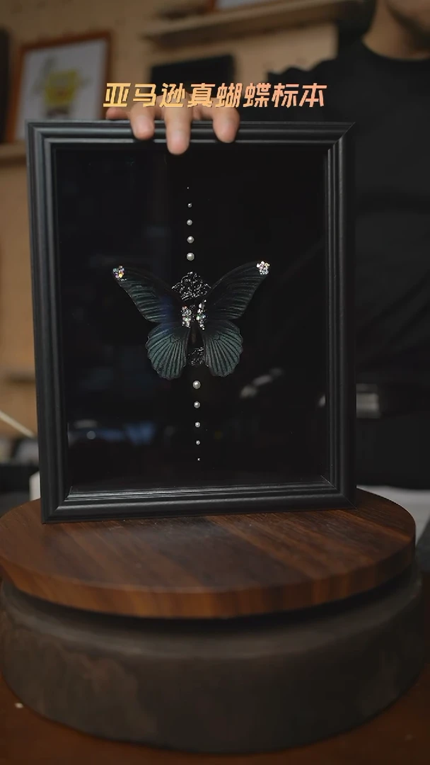 美凤蝶巴洛克款10寸欧式框