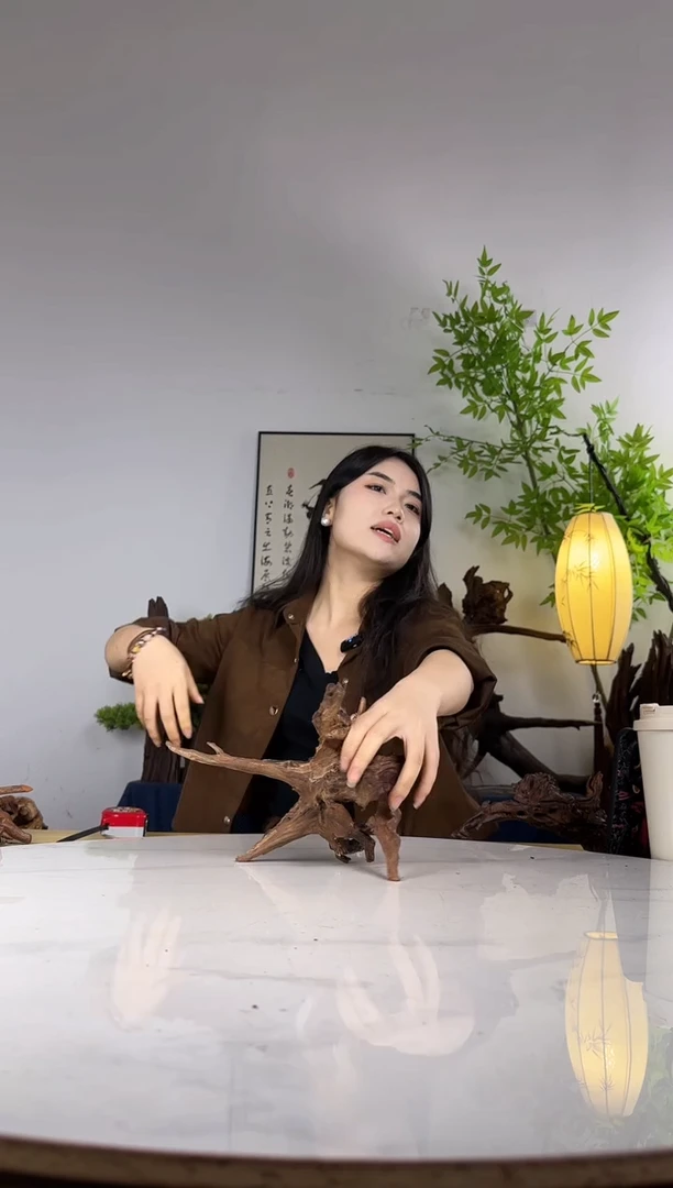 南**寒拍这个定向编号86