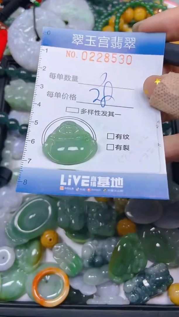 颈饰未镶嵌翡翠闪购C0228530