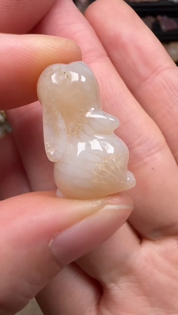 硅化珊瑚（珊瑚玉）未镶嵌颈饰362